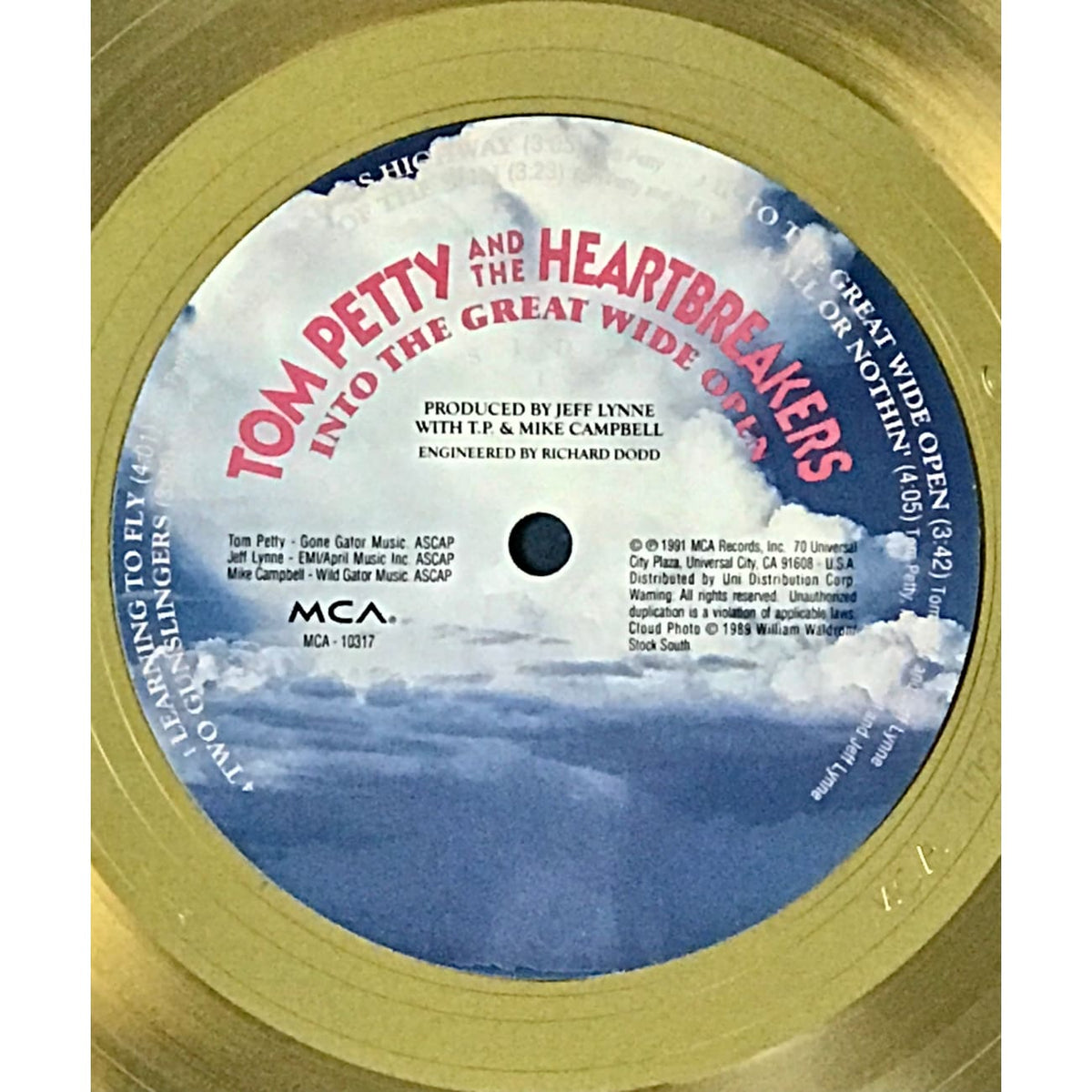 米LP Tom Petty And The Heartbreaker Into The Great Wide Open B002429201 Geffen Records /00260 Into The Great Wide Open LP – Tom Petty