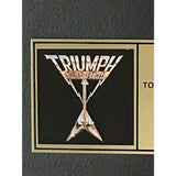 Triumph Allied Forces RIAA Gold Album Award - Record Award