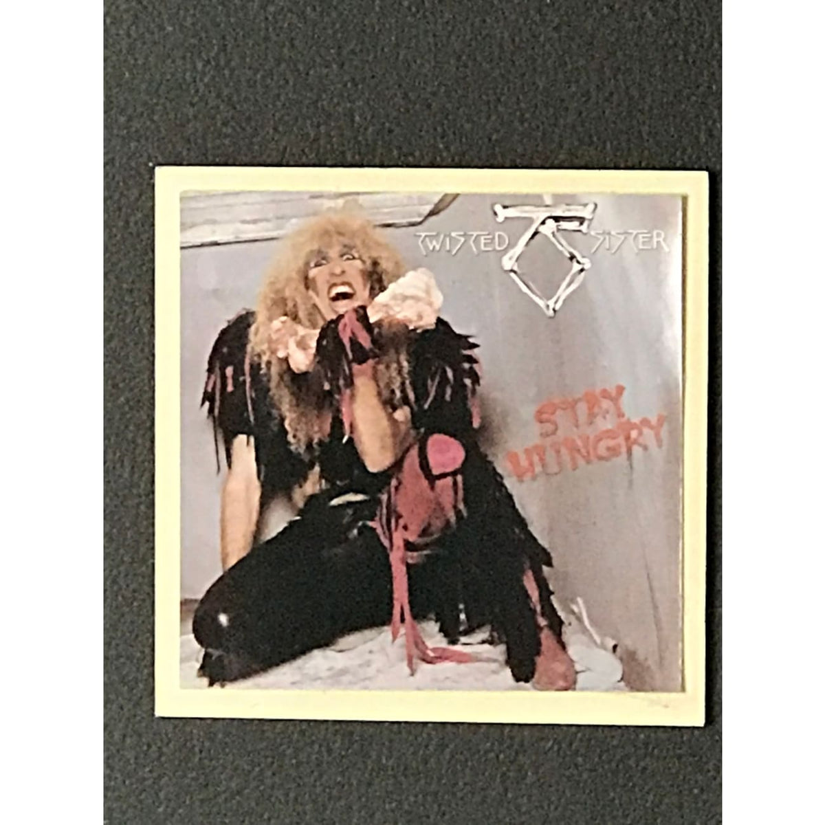 musicgoldmine.com - Twisted Sister Stay Hungry RIAA Platinum Album