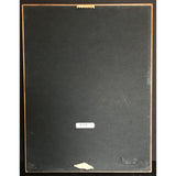 U2 Pop RIAA Platinum Album Award - Record Award