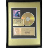 Young MC Brainstorm RIAA Gold Album Award + Grammy Win Certificate - Record Award