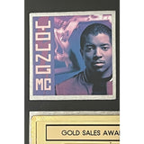 Young MC Brainstorm RIAA Gold Album Award + Grammy Win Certificate - Record Award