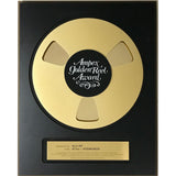 ZZ Top Afterburner album Ampex Golden Reel Award presented to Dusty Hill - RARE - Record Award