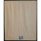 2Pac Above The Rim Soundtrack RIAA 2x Multi-Platinum Album Award - RARE - Record Award