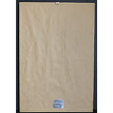 2Pac Greatest Hits RIAA 6x Multi-Platinum Album Award - RARE - Record Award