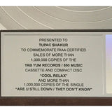 2Pac Presented Jon B. Are U Still Down/They Don’t Know RIAA Combo Platinum Award - RARE - Record Award