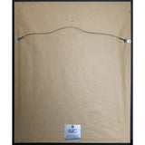 2Pac R U Still Down? (Remember Me) RIAA 4x Multi-Platinum Album Award - RARE - Record Award