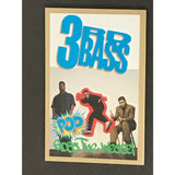 3rd Bass Pop Goes The Weasel RIAA Gold Single Award - Record Award