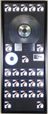 Michael Jackson Thriller RIAA 25x Platinum Award - RARE
