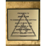 Adema debut RIAA Gold Album Award