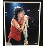 Aerosmith Collage signed by Steven Tyler w/BAS LOA