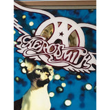 Aerosmith Nine Lives 9x Platinum Label Award - Record Award