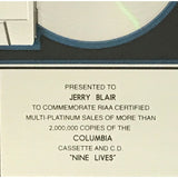 Aerosmith Nine Lives RIAA 2x Multi-Platinum Album Award