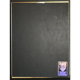Aerosmith Nine Lives RIAA 2x Multi-Platinum Album Award