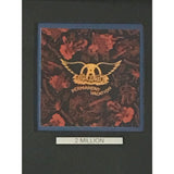 Aerosmith Permanent Vacation RIAA 2x Platinum Album Award - Record Award