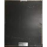 Aerosmith Permanent Vacation RIAA 2x Platinum Album Award - Record Award
