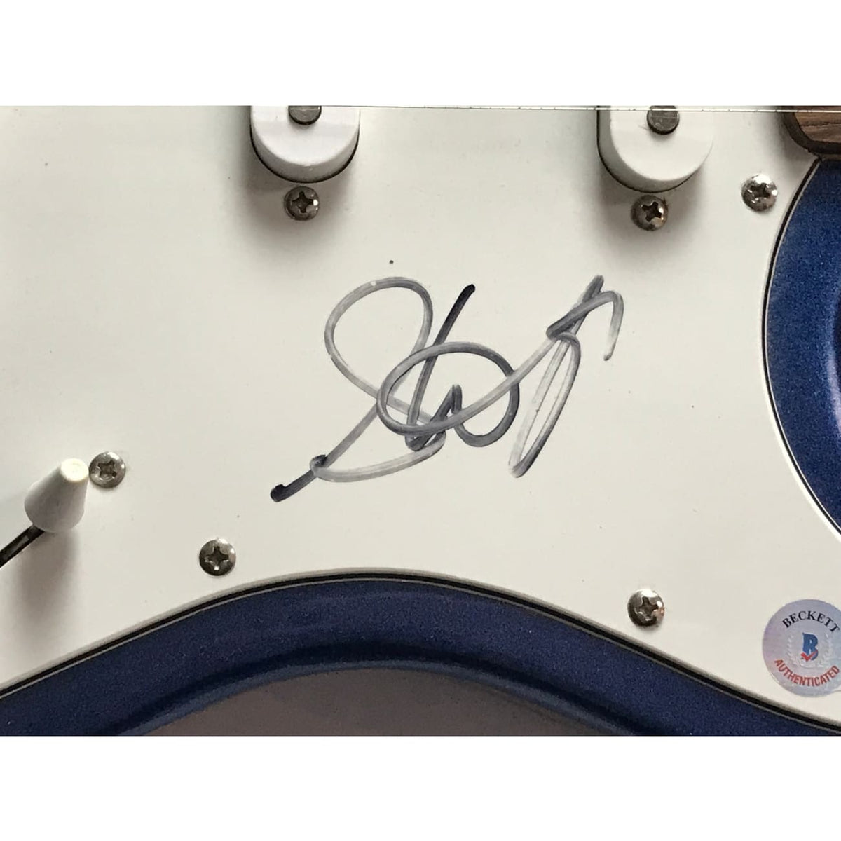 musicgoldmine.com - Aerosmith Steven Tyler Signed Guitar w