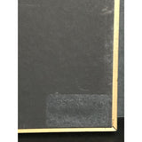 Alannah Myles Black Velvet RIAA Gold Single Award - Record Award