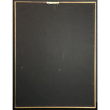 Alannah Myles Black Velvet RIAA Gold Single Award - Record Award