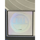 Alice In Chains Dirt RIAA 2x Multi-Platinum Album Award