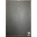 Alice In Chains Dirt RIAA 2x Multi-Platinum Album Award