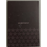 Alison Moyet 2003 Hometime Tour Program - Music Memorabilia
