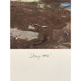 Anthrax Stomp 442 Album Art Artist’s Proof #7/13 signed by Storm Thorgerson - Music Memorabilia