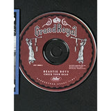 Beastie Boys Check Your Head RIAA Platinum Album Award