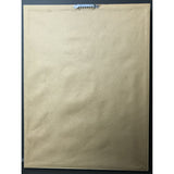 Beastie Boys Check Your Head RIAA Platinum Album Award