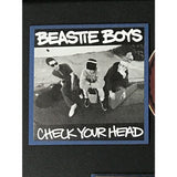 Beastie Boys Check Your Head RIAA Platinum Album Award
