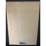 Beatles Anthology I RIAA 6x Multi-Platinum Album Award