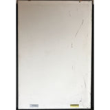 Beyoncé ft. Jay-Z Drunk In Love 3x Multi-Platinum Single Award - Record Award