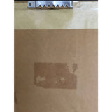 Blues Brothers Briefcase Full Of Blues RIAA Platinum LP Award - Record Award