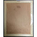 Blues Brothers Briefcase Full Of Blues RIAA Platinum LP Award - Record Award