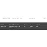 Blues Brothers Briefcase Full Of Blues RIAA Platinum LP Award - Record Award