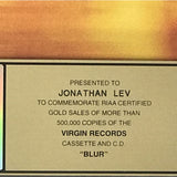 Blur self-titled RIAA Gold Album Award - Record Award