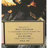 Boston Walk On RIAA Gold Album Award - Record Award