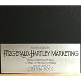 Bruce Hornsby and the Range A Night On The Town RIAA Gold LP Award - Record Award