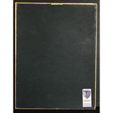 Bruce Springsteen Greatest Hits RIAA 2x Multi-Platinum Album Award - Record Award
