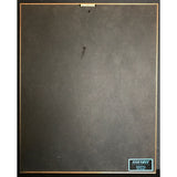 Buffalo Springfield Retrospective RIAA Platinum Album Award - Record Award