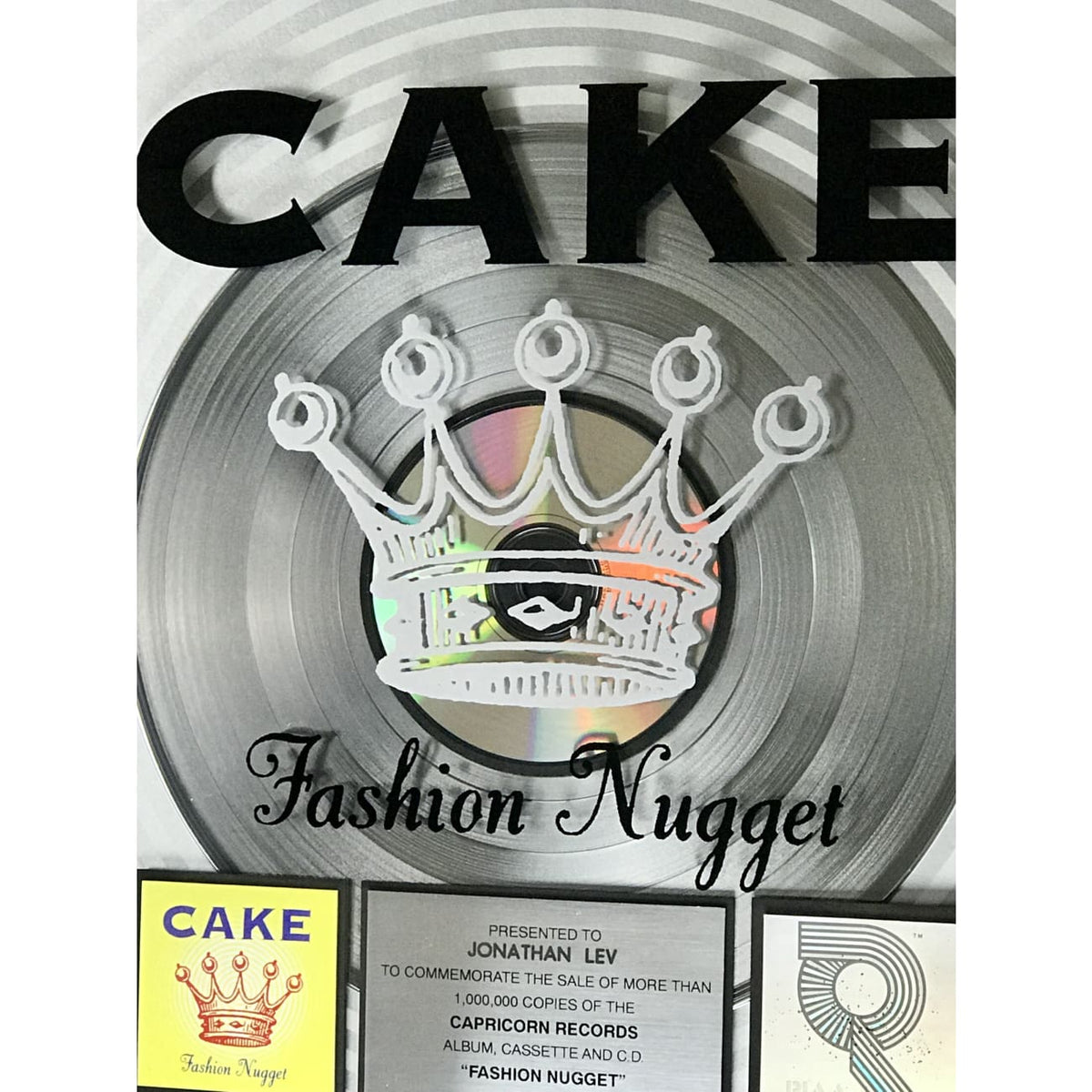 Cake Fashion Nugget RIAA Platinum Album Award