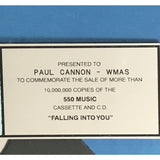 Celine Dion Falling Into You RIAA 10x Platinum Award - Record Award