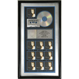 Celine Dion Falling Into You RIAA 10x Platinum Award - Record Award