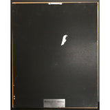 Chicago 19 RIAA Gold LP Award - Record Award