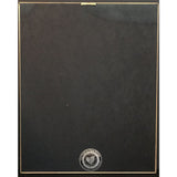 Chris Cagle Play It Loud RIAA Gold Album Award - Record Award