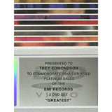 Duran Duran Greatest RIAA Platinum DVD Award - Record Award