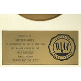 Elton John Bennie and the Jets White Matte RIAA Gold 45 Award - RARE - Record Award