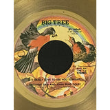 England Dan and John Ford Coley I’d Really Love To See You Tonight RIAA Gold 45 Award - Record Award