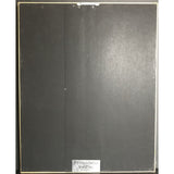 Extreme II: Pornograffitti RIAA Platinum LP Award - Record Award