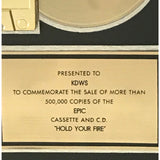 Firehouse Hold Your Fire RIAA Gold Album Award - Record Award